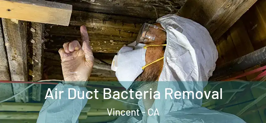  Air Duct Bacteria Removal Vincent - CA