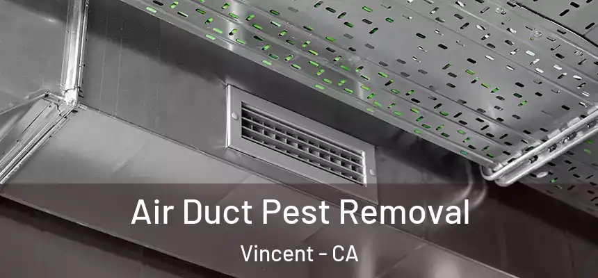  Air Duct Pest Removal Vincent - CA
