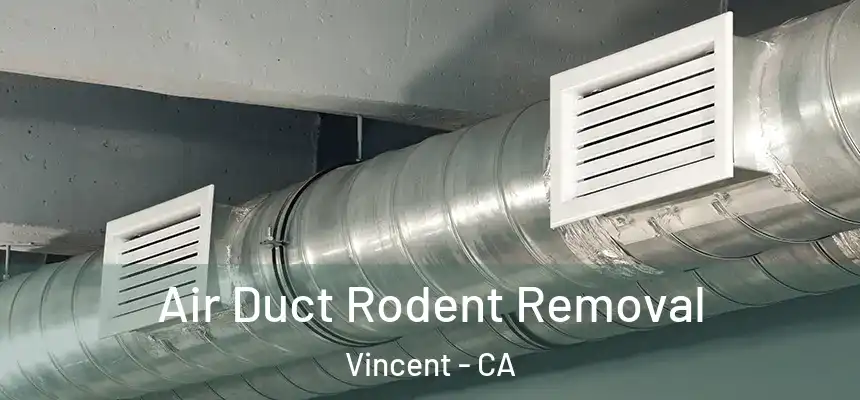  Air Duct Rodent Removal Vincent - CA