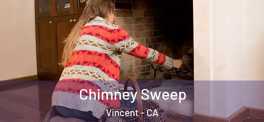  Chimney Sweep Vincent - CA