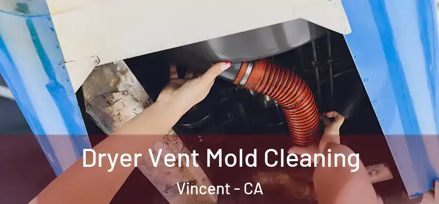  Dryer Vent Mold Cleaning Vincent - CA