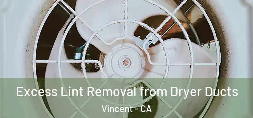  Excess Lint Removal from Dryer Ducts Vincent - CA