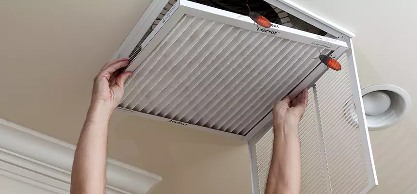 Our Insect Removal from Air Ducts Services in Vincent, CA