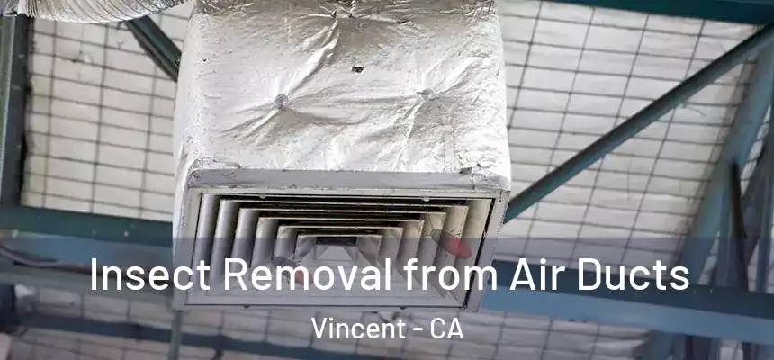  Insect Removal from Air Ducts Vincent - CA
