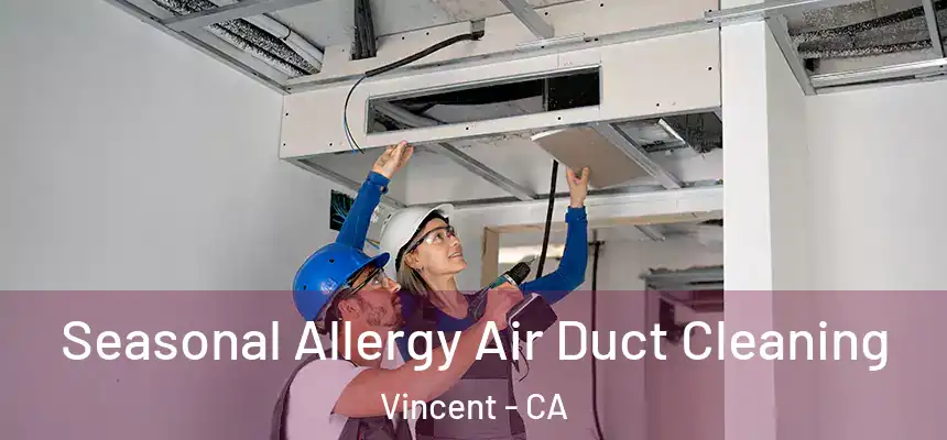  Seasonal Allergy Air Duct Cleaning Vincent - CA