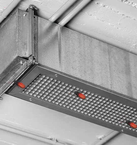 About Air Duct Cockroach Removal in Vincent, CA
