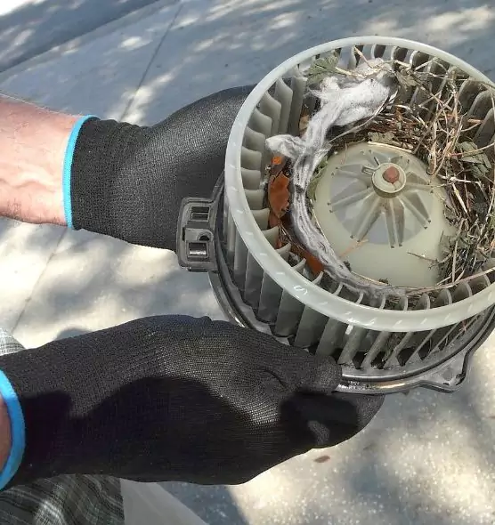 About Air Duct Mice Removal in Vincent, CA