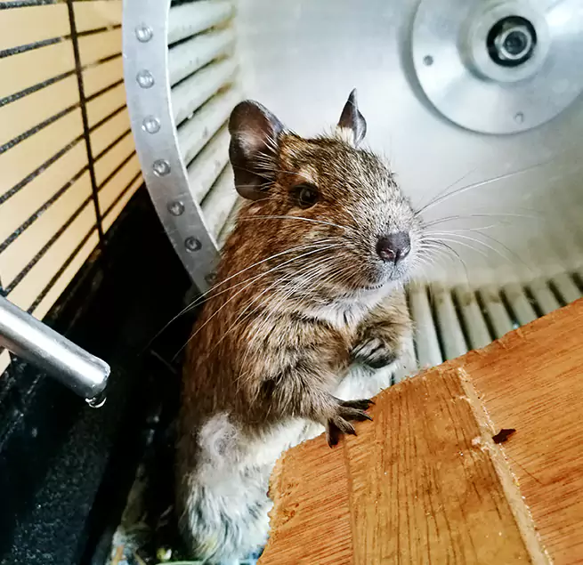 Why Homeowners & Businesses Trust Us Vincent, CA?